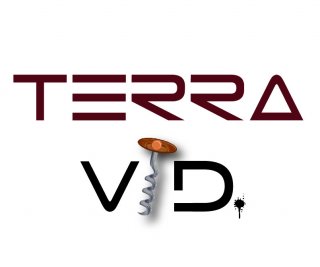 Terra Vid Logo Design